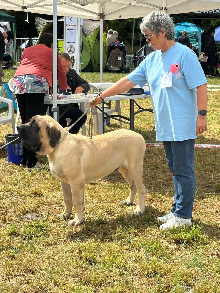 Axton De L'Arche De Jovie