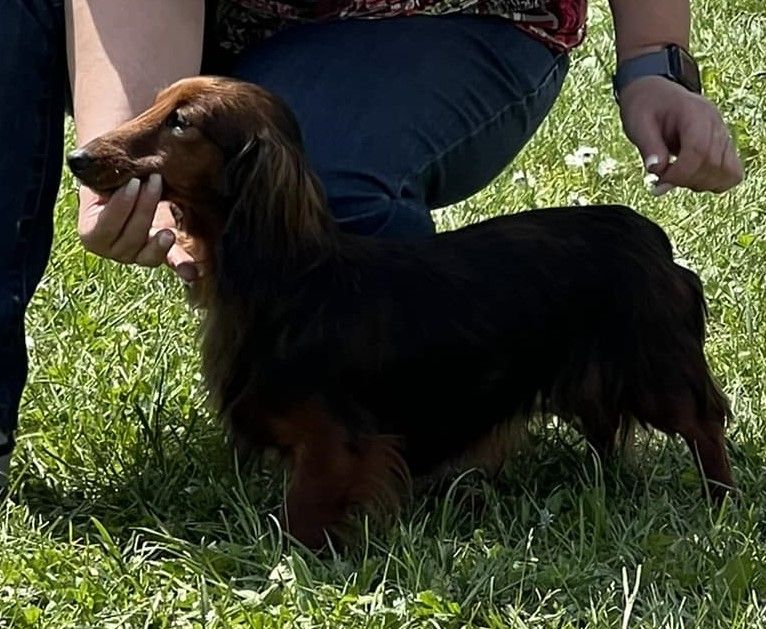 Thalia De L'Arche De Jovie